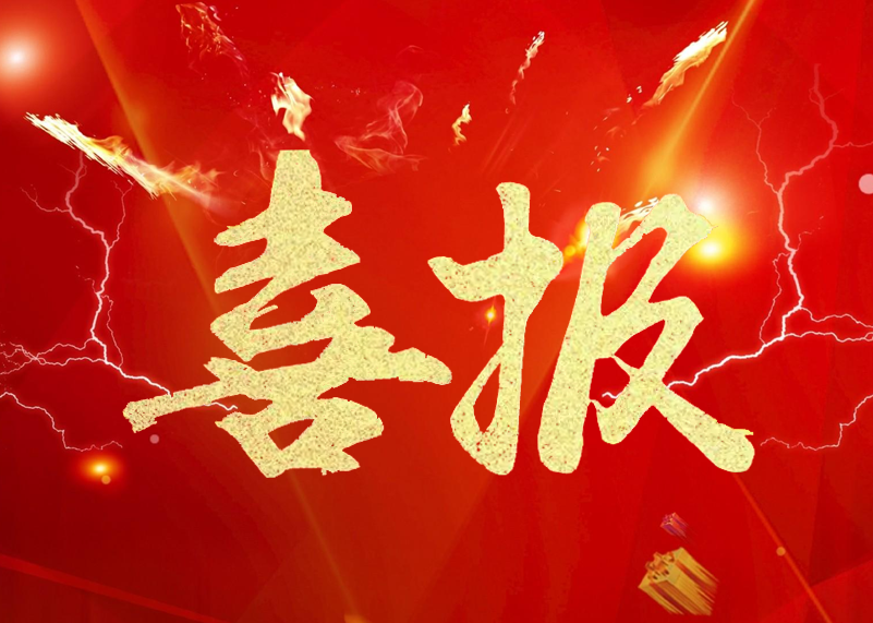 KS體育顯示再獲行業殊榮