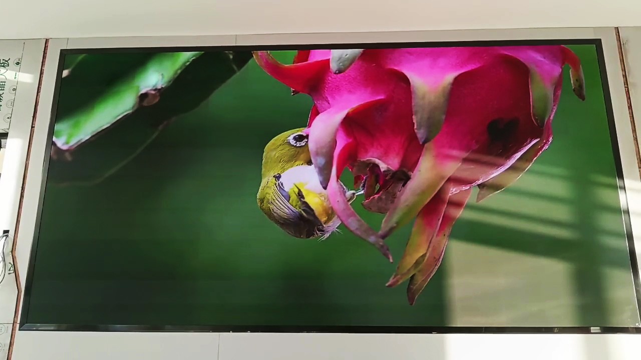 珠海高欄出入境邊防檢查站